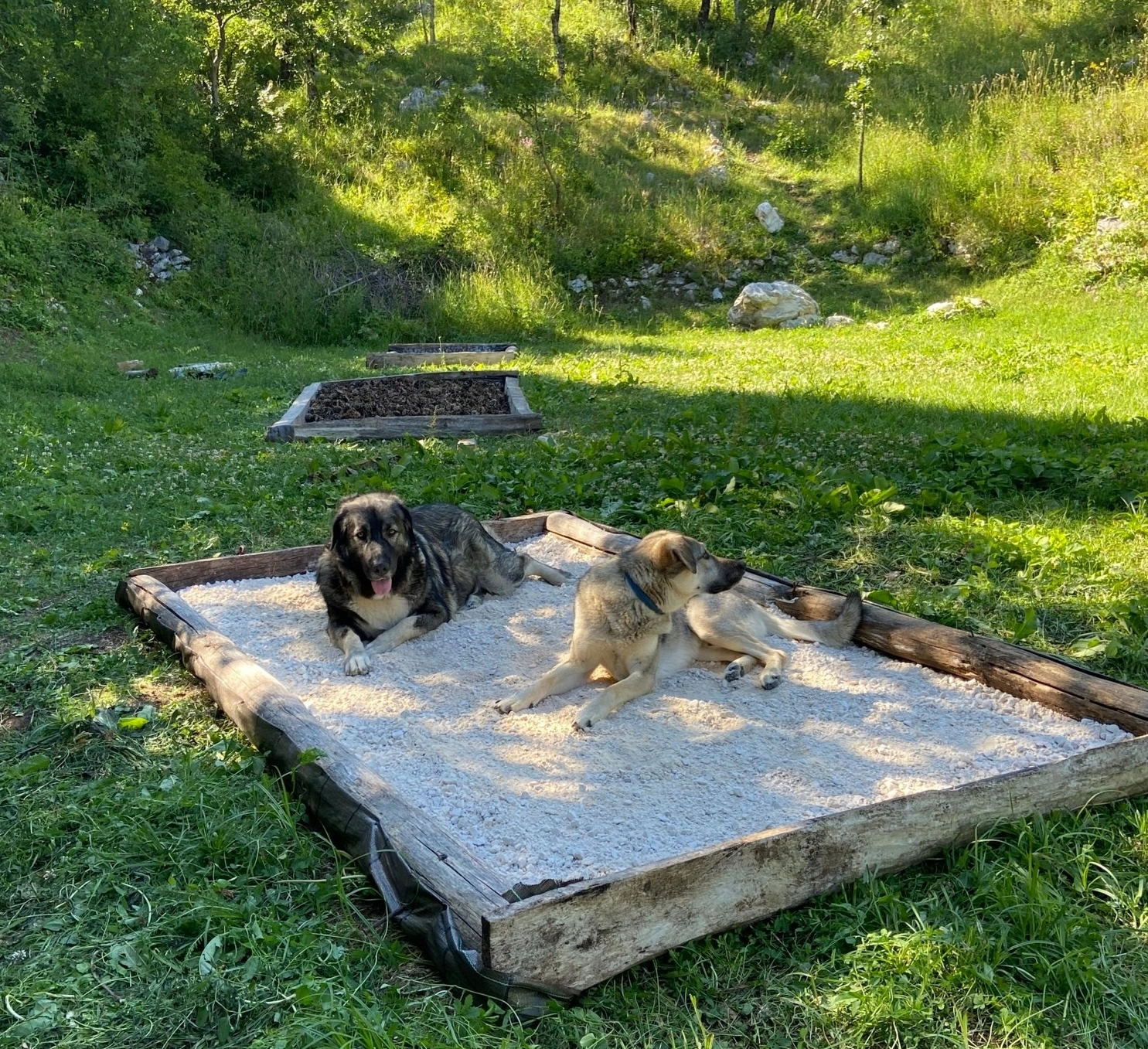 arya sivi barefoot trail fitcamp montenegro scaled 2