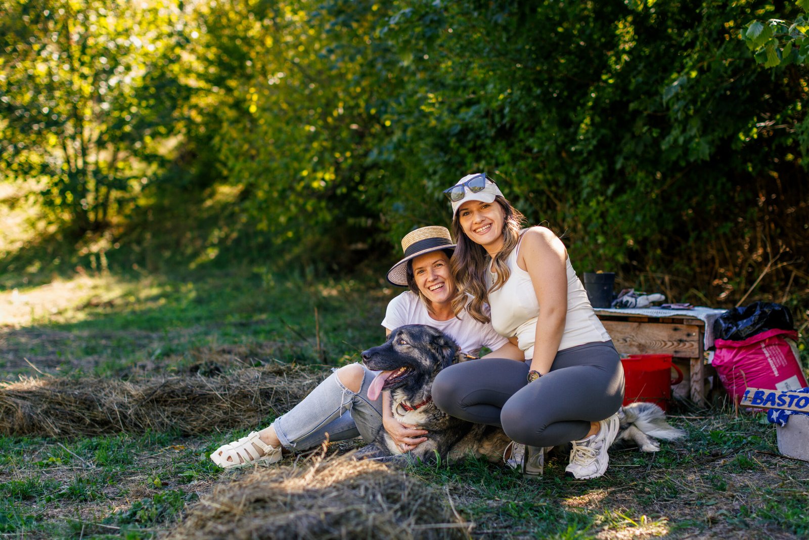 coliving with animals - GEA retreat pet friendly