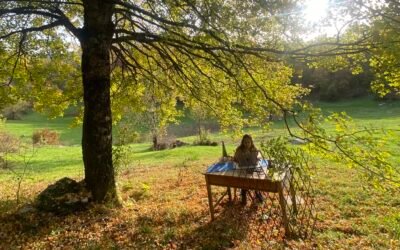 Coliving Stay for Digital Nomads