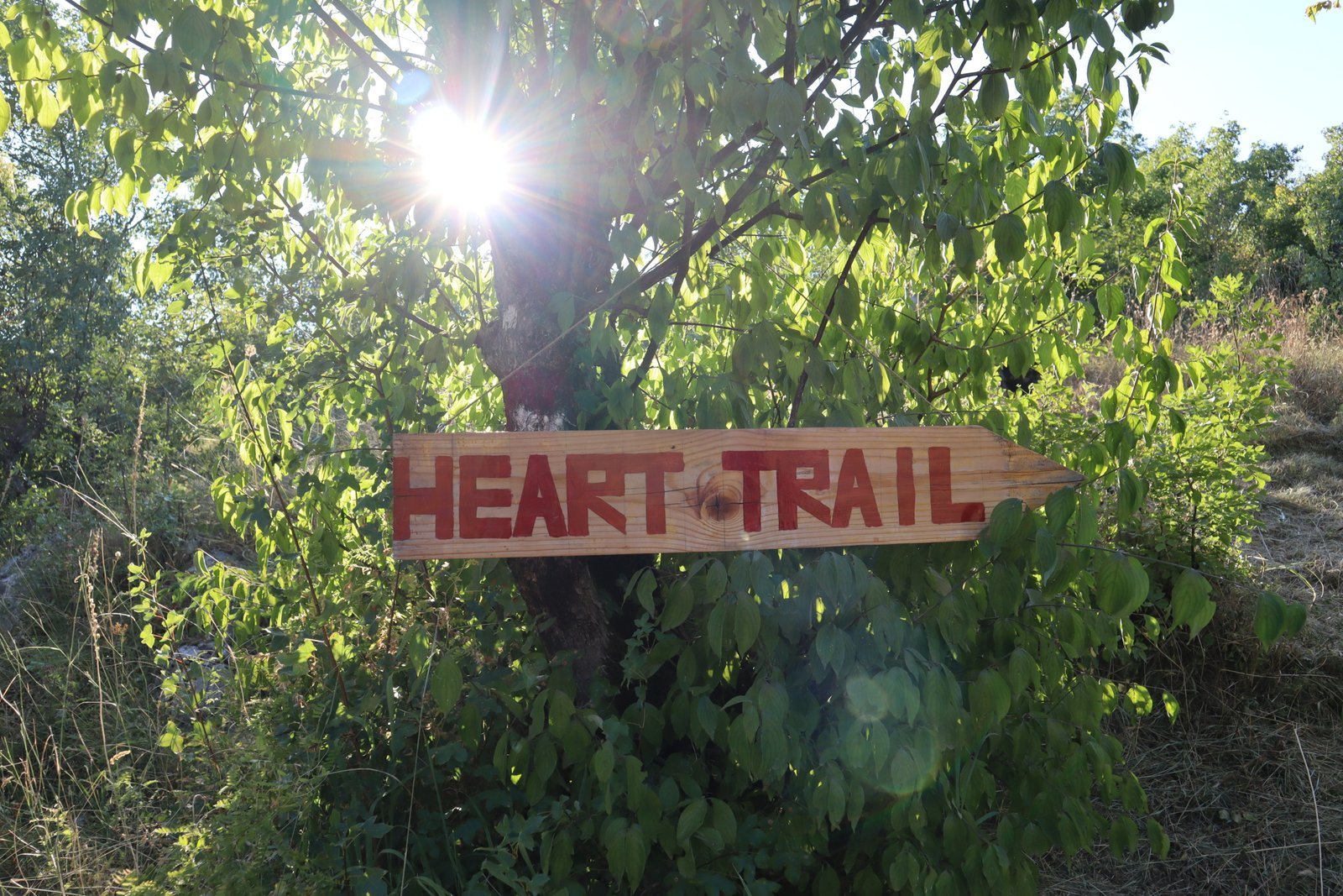 heart trail gea retreat montenegro