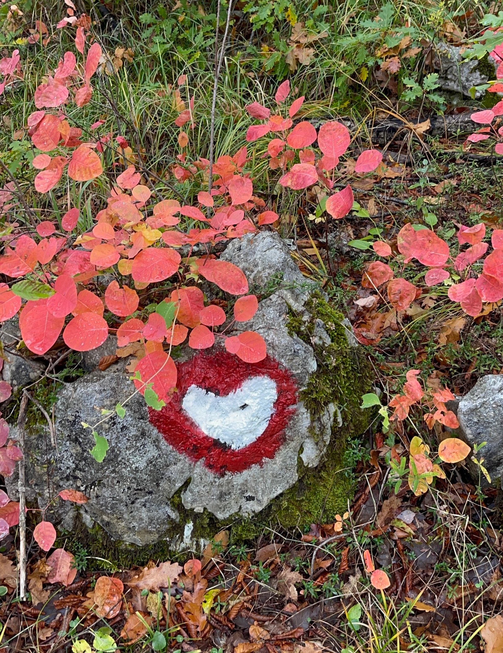 heart-trail-gea-retreat-montenegro