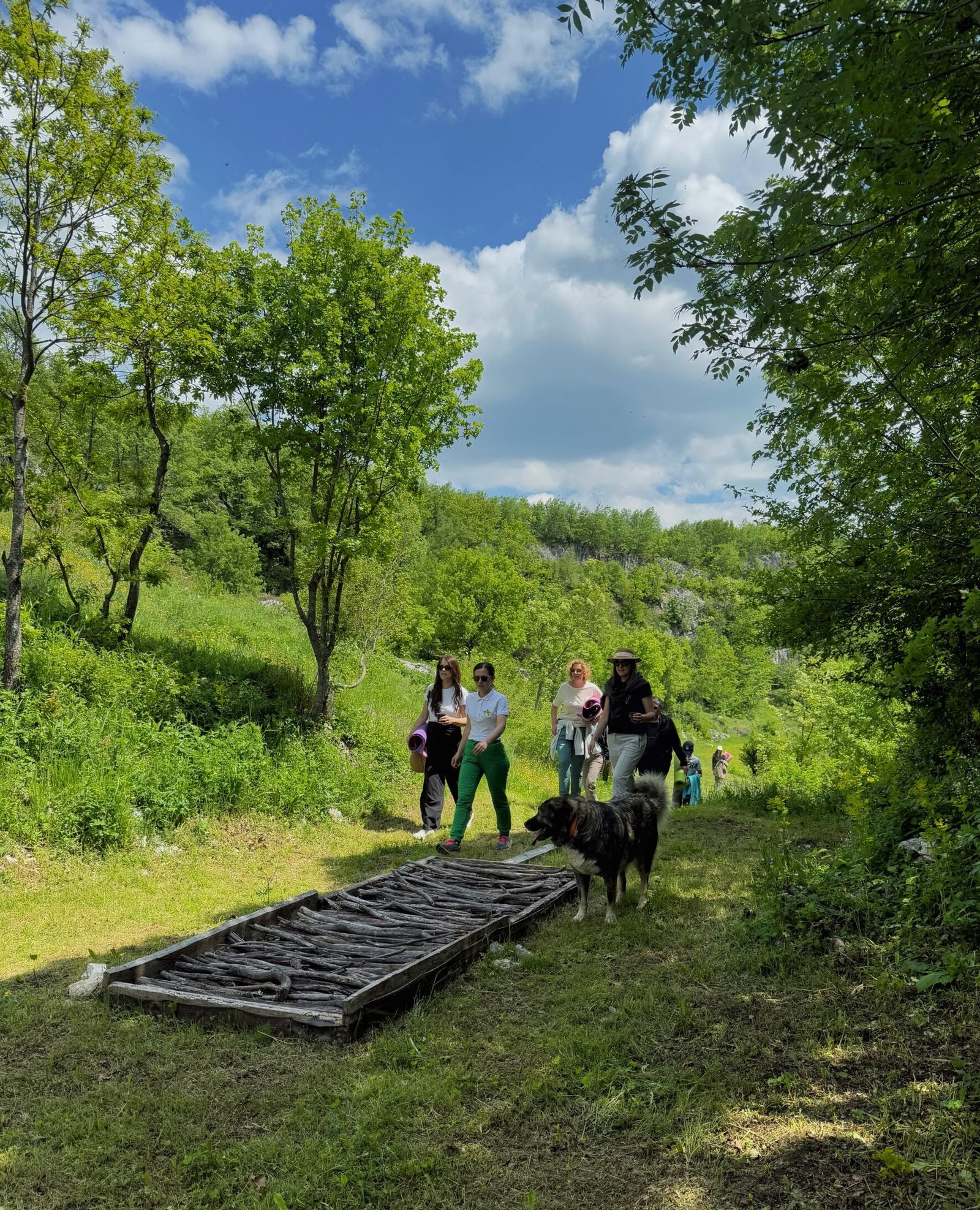 Soil & Soul One-day retreat at GEA Retreat Montenegro