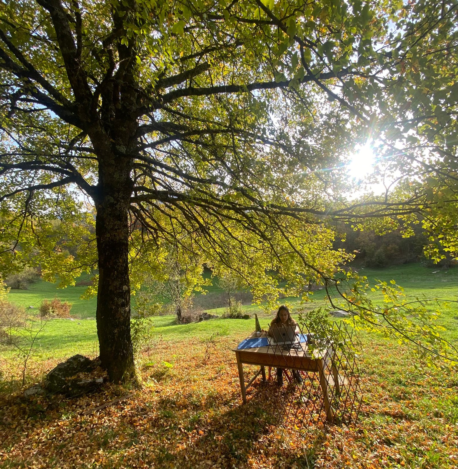 Coliving in Nature GEA Retreat Montenegro