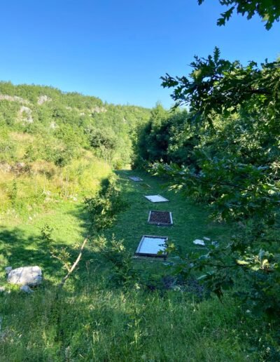 barefoot trail fitcamp montenegro scaled 1