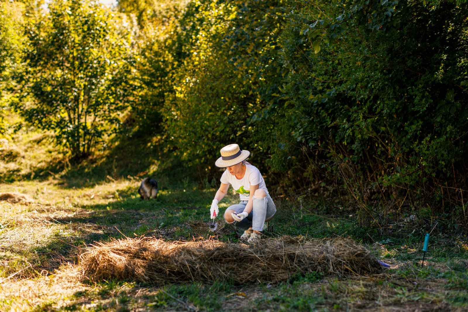 motivational-bio-gardening-gea-retreat
