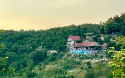 A Different Kind of Reset: Inside the Soil & Soul One-day Retreat