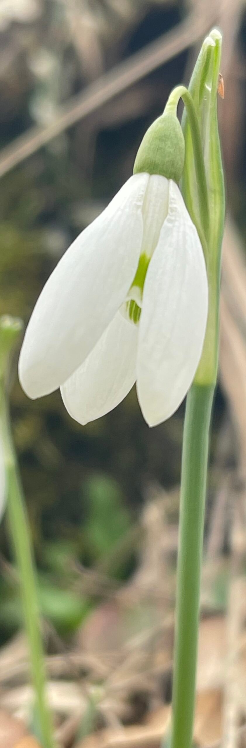 spring-gea-retreat-montenegro