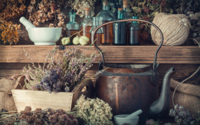 What Is Naturopathy? A Holistic Approach to Preventive Health & Wellbeing at GEA